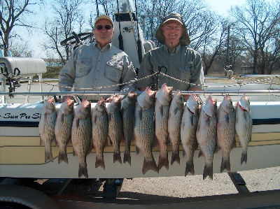 Benbrook Hybrids!
