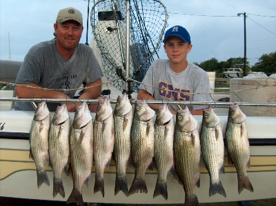 Quick Limit of Hybrids on Benbrook!