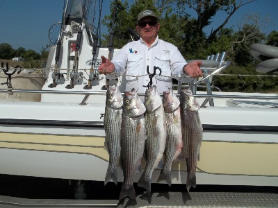 Big Stripers on Whitney Jun 2011