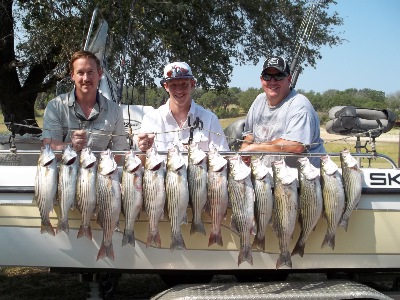 Limits of Stripers on Whitney June 2011