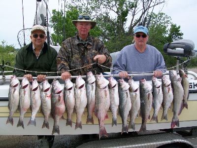 April 09 Whitney Stripers!!