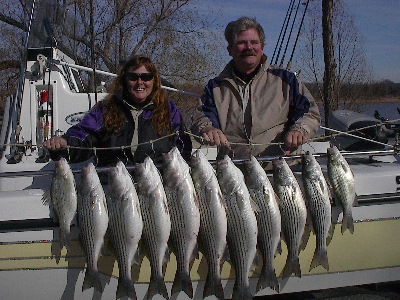 Brazos River Winter Stripers!