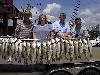 Bridgeport Summer Limit of hybrids.