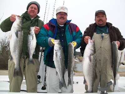 Whitney Stripers in Dec 09 on jigs.