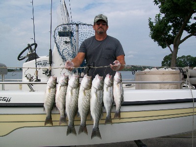 Catching some Groceries on Granbury 6-25-10